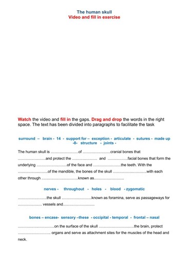 The human skull worksheet