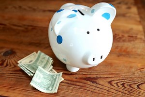 Setting Up A Homestead Budget For One Small Income