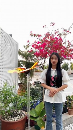 3D holographic flower butterfly.3D hologram fan solo solution. #3dhologram #3dhologramfan