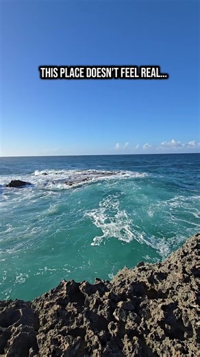 Aruba doesn’t even try… it’s just naturally this beautiful. 🌊✨ #Aruba #OneHappyIsland #TravelVibes #NatureLovers #InLoveWithTrees