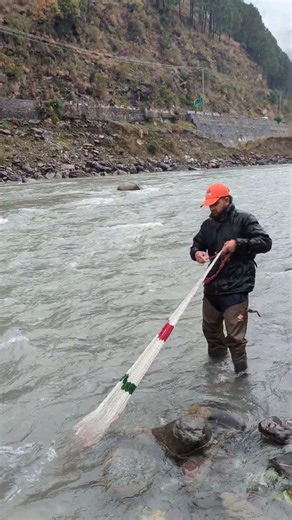 When the net doesn't sink completely in the deep, cold waters of Lake Towada, will the rainbow tr...