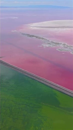 pink lake 💓 Australia 🌏 #travel #pinklake #nature #shorts #trending #youtubeshorts