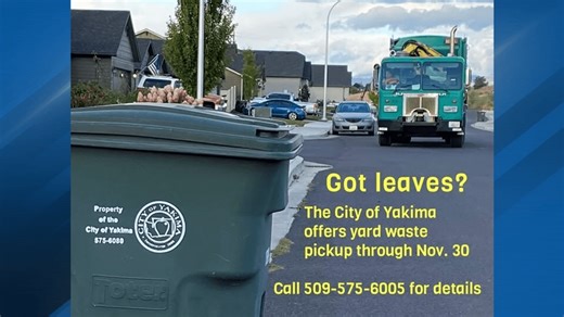 City yard waste collection begins March 1st