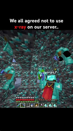 Everyone agreed not to use x-ray but #minecraft #usa