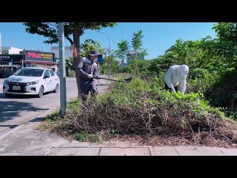 The city does not collect all household waste so people throw it all over the sidewalks