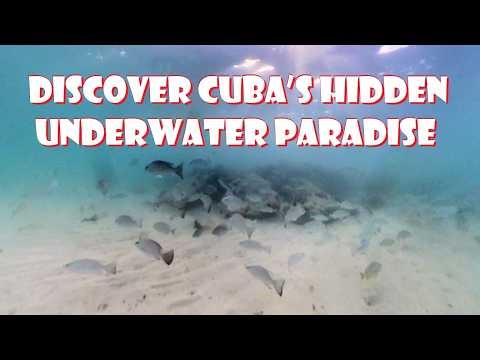 Snorkeling in Paradise | Cayo Coco Cuba Afternoon to Sunset at Playa Coco