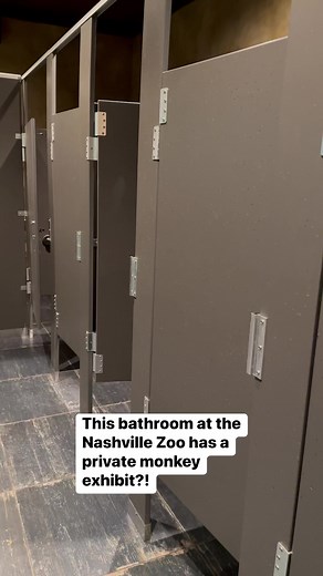Monkeys in the bathroom?! Wow! #nashvillezoo #nashville #zoo #monkeys | Jake Coco