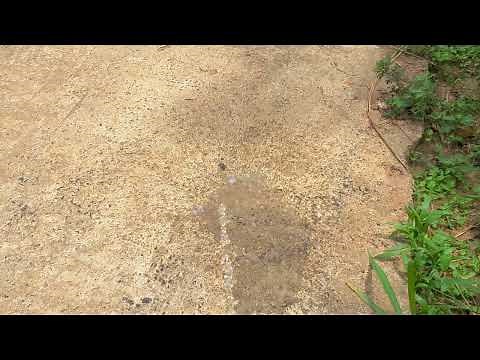 Men peeing into the road| Pee quickly| Cool down the heated road| Pee at noon| Peeing outdoor