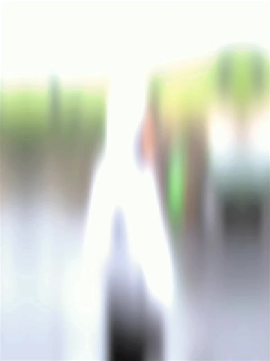 Bluky (@bluky_)’s videos with BREAKBEAT LDR MERIANG - ᴡᴇs. ᴢᴀɴ