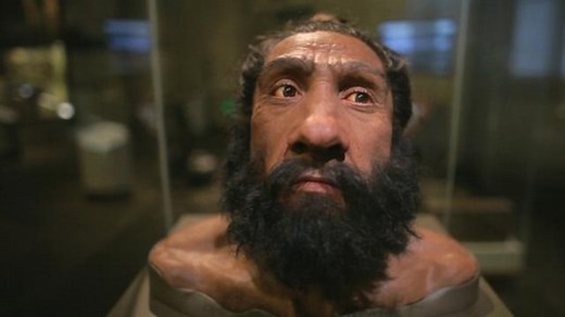 Amazing 13-Million-Year-Old Ape Skull Discovered