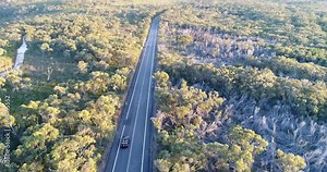 Single small convertible car with soft top down drives on empty road through the gumtree woods in Sydney national park.