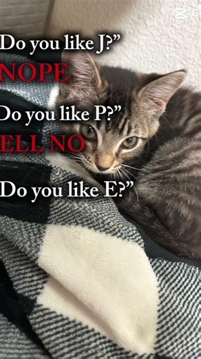 Act fool act fool act fool #lyrics