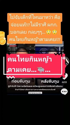 Exploring Thai Culture Through Fashion and Emotions