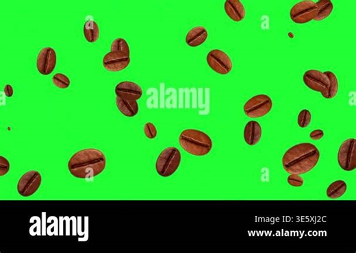 Moving coffee beans motion graphics with green screen background Stock Video Footage - Alamy