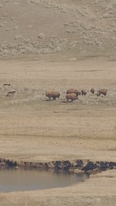 10K views · 994 reactions | Strength in numbers—on both sides. In...