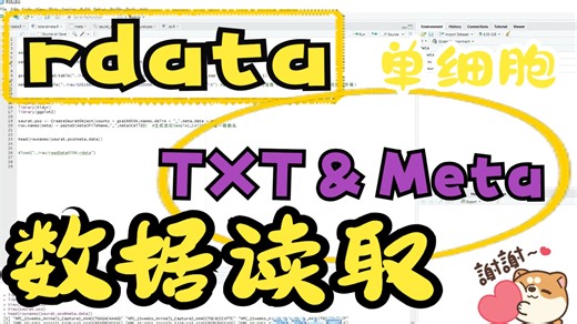 单细胞| rdata、 TxT＆Meta格式数据读取与处理