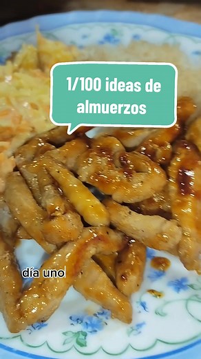 100 Ideas de Almuerzos Fáciles y Ricos