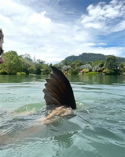 Gillhams Fishing Resorts on Instagram: "‼️🔥💥🇹🇭🎣 Monster Carp 🎣🇹🇭💥🔥‼️ Check out this Monster Carp of 166lb landed by Connor Forster which was part of a double hook-up with another Siamese Carp of 96lb. 👏 This is a new personal best for Connor who is currently enjoying his trip at Gillhams and landing plenty of fish - showing his dad how it’s done! 🤪 We will share with you a full catch report once Connor has finished his session but we thought this special fish was worthy of its own po