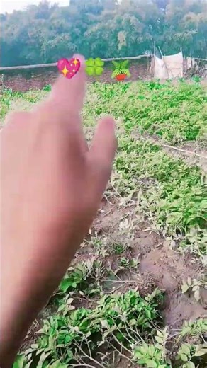 🪴🍀💖 so beautiful