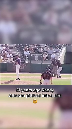 Randy Johnson's Legendary Bird Incident in Baseball History