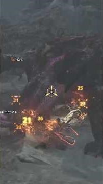 モンハンワイルズ ナディアちゃんとゴアマガラ👍#shorts #ps5 #gaming #モンハンワイルズ#ゲーム実況