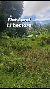 548K views · 4.7K reactions | Farm Lot for sale 1.1 hectare FULL...