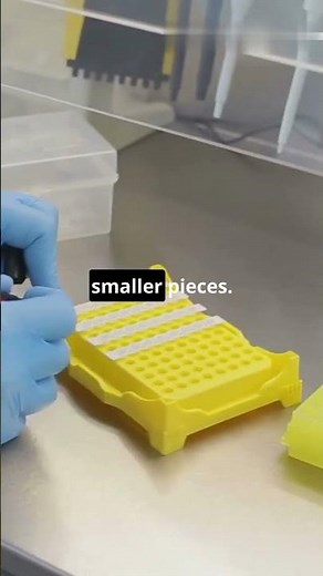How DNA Sequencing Works