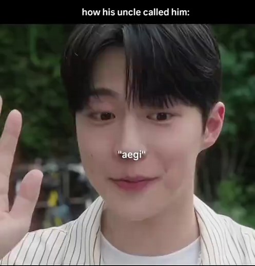 Understanding the Meaning of 'Aegi' in Korean Culture