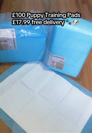 Essential Puppy Training Pads for Easy Clean-Up