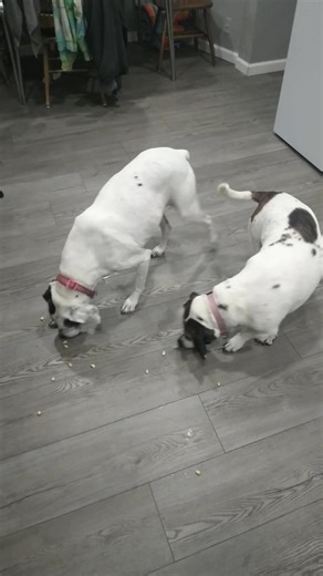 Clancy John on Reels | Facebook