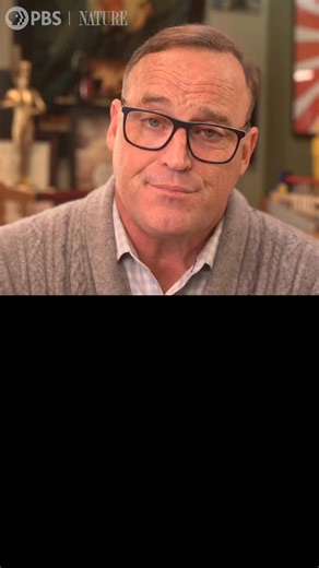 Watch comedian Matt Iseman pretend to know what this animal is… | Nature | PBS