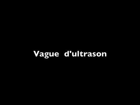 Ultrason contre animaux