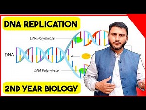 What is DNA Replication Class 12 | 2nd Year Biology