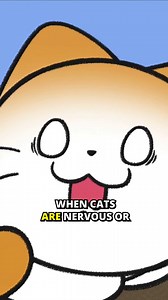 18K views · 371 reactions | Why and Where Do Cats Loaf #cat #cat101 #catanimation #cattips | BEMYPET.Channel | Facebook