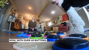 117K views | Pet owners are communicating with their furry friends through soundboards, allowing their pets to say what is on their minds. https://www.10news.com/news/national/dogs-and-cats-learning-to-talk-through-innovative-soundboard | Scripps National News | Facebook