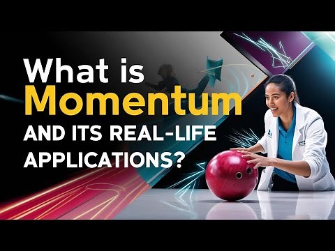 What is Momentum|Physics|Examples in Everyday Life|(In English)