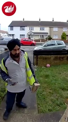Amazon delivery driver strikes up chat with customer's cat in Blackpool 🐈 | Liverpool Echo News