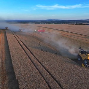 New holland cr11 in large wheat 🌾 harvesting fields | Big Machines