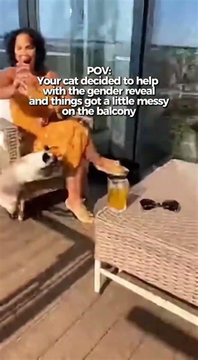 CAT VS BALLOON: Colorful Explosion! 🎈💥 #shorts #funnycats