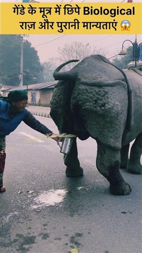 गेंडे से जुड़ी ये अनोखी परंपरा और इसका वैज्ञानिक सच? 🦏 | Wildlife Mystery