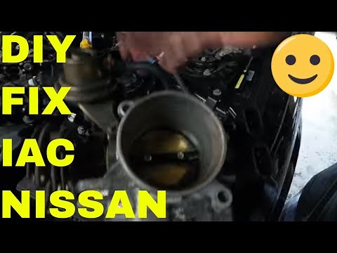Tips On An IAC-2000 Nissan Maxima