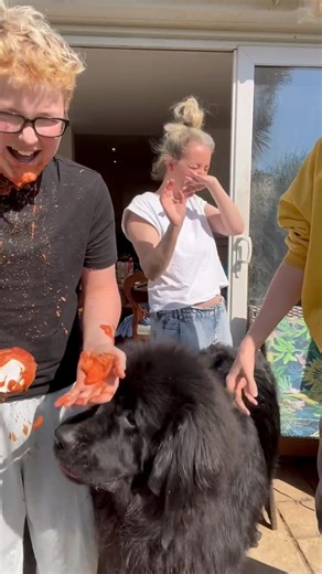 23K views · 361 reactions | Prank gone very wrong 藍 #prank #comedy #funny #laugh #relatable #fail #pranks #familyfun | Harfin Family | Facebook