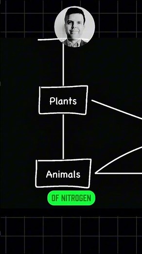 🔴 IGCSE Biology Essential Concepts for 2026 - Ecology (the nitrogen cycle)