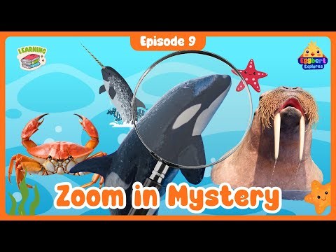 Ocean Zoom-In Mystery 🔍 Guess Orca, Narwhal & Crab | Fun Sea Animal Game (Ep. 9)