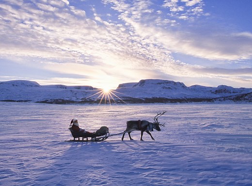 How Many Reindeer Does Santa Have? See If You Can Name All of Them