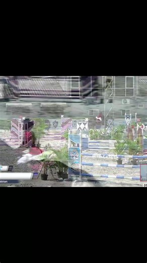 day 2 part 2 jumping 60cm open🐎🐎 clear round dngn waktu 13.91s✨️ bngga banget sama kmu syif🥺🤍 #cutsyifa #fyp #berkuda #masyaallahtabarakkallah