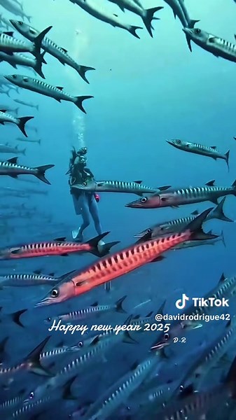 Explore Beautiful Nature and Fish in Stunning Landscapes