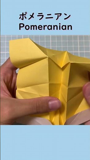 【折り紙】ポメラニアン Origami Pomeranian