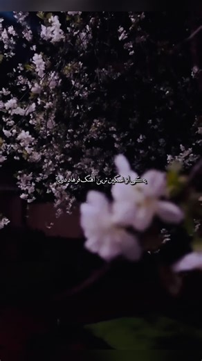 Emotional Lyrics That Tell A Sad Story