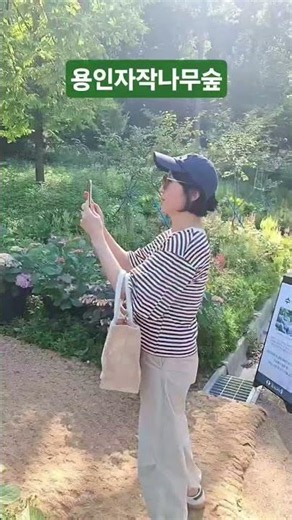 당일치기여행 ♡ 용인자작나무숲 #당일가볼만한곳#수국#용인가볼만한곳#경기도가볼만한곳#6월에가볼만한곳#서울근교#꽃#부모님과당일여행 #flowers #여행 #여행숏츠
